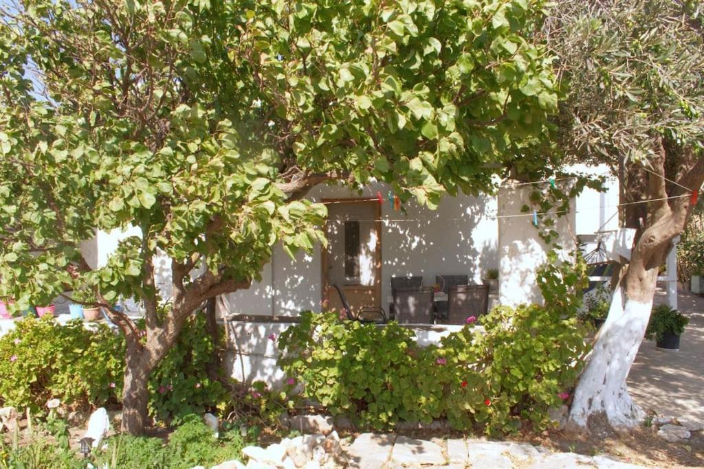 Anastasia'S House Ysterni Isterni  Exterior foto